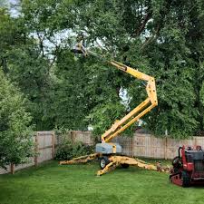 Best Grass Overseeding  in Darien, GA